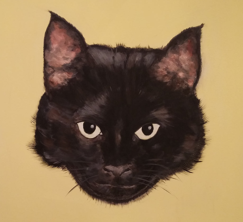 Black Cat