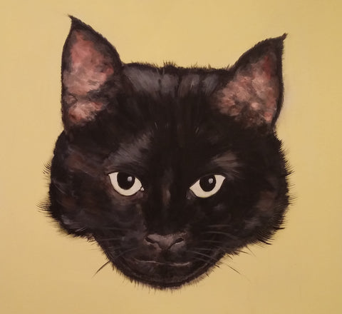 Black Cat