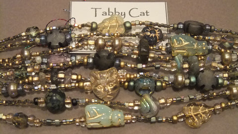 Tabby Cat