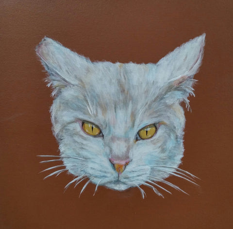 The Stray